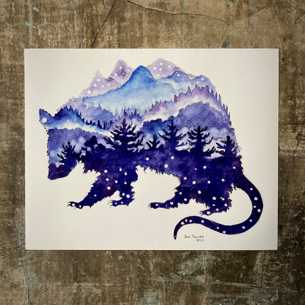 Mountain Opossum - Print