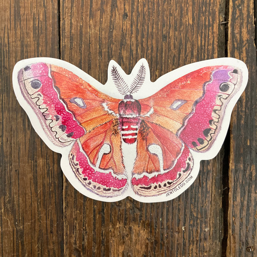 Cecropia Moth - Sticker