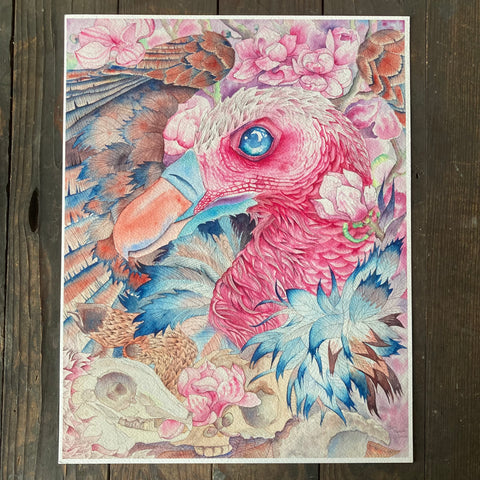 Spring Vulture - Print
