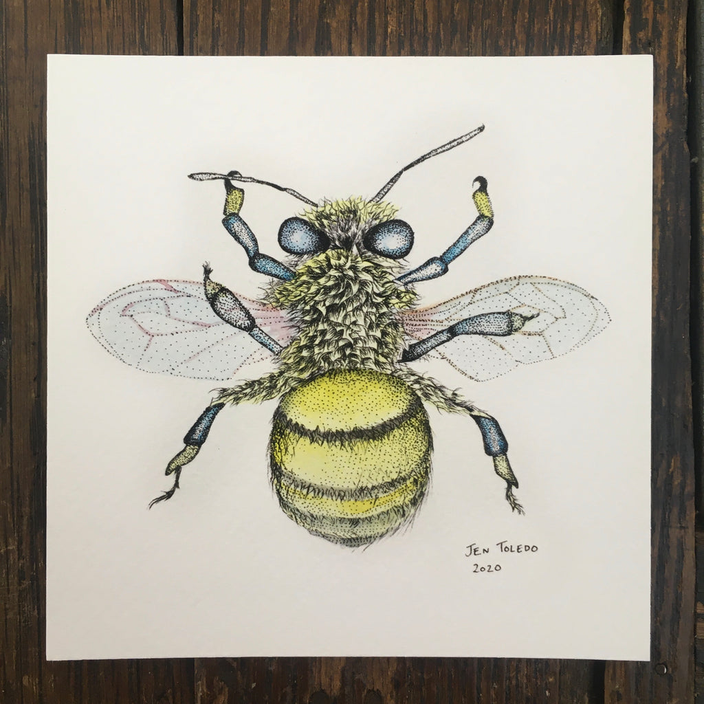 Honey Bee - Print