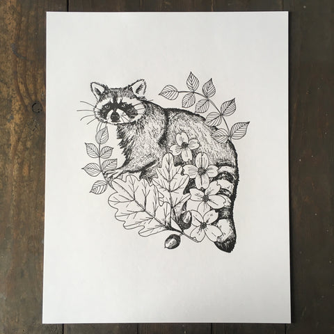 Raccoon With Dogwood And Oak - Print