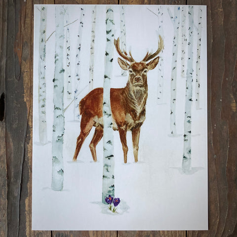 Snowy Stag - Print